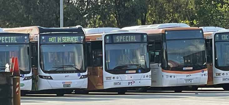 CDC Melbourne Volvo BZL Volgren Optimus 186 & Denning 13